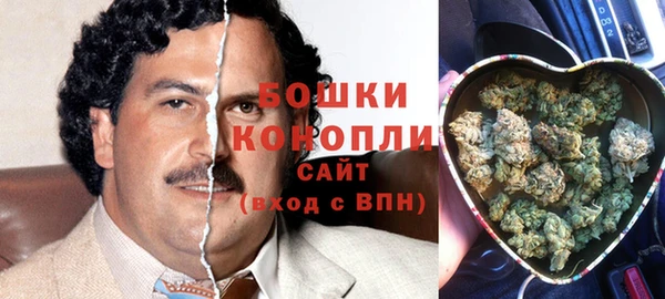 ГАЛЛЮЦИНОГЕННЫЕ ГРИБЫ Баксан