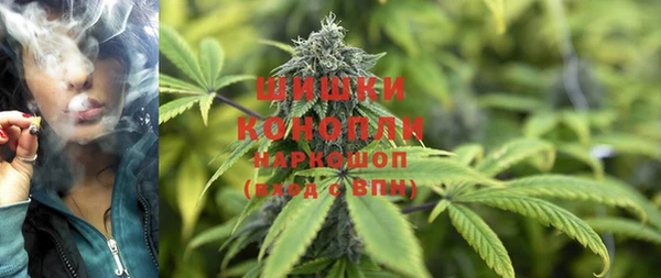 ГАЛЛЮЦИНОГЕННЫЕ ГРИБЫ Баксан